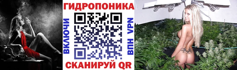 Купить закладку Галлюциногенные грибы Alpha-PVP Меф Cocaine АМФ Боровичи