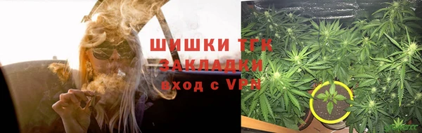 шишки Зеленодольск