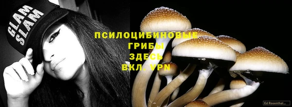 марки nbome Инта