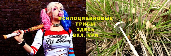гашик Кинешма